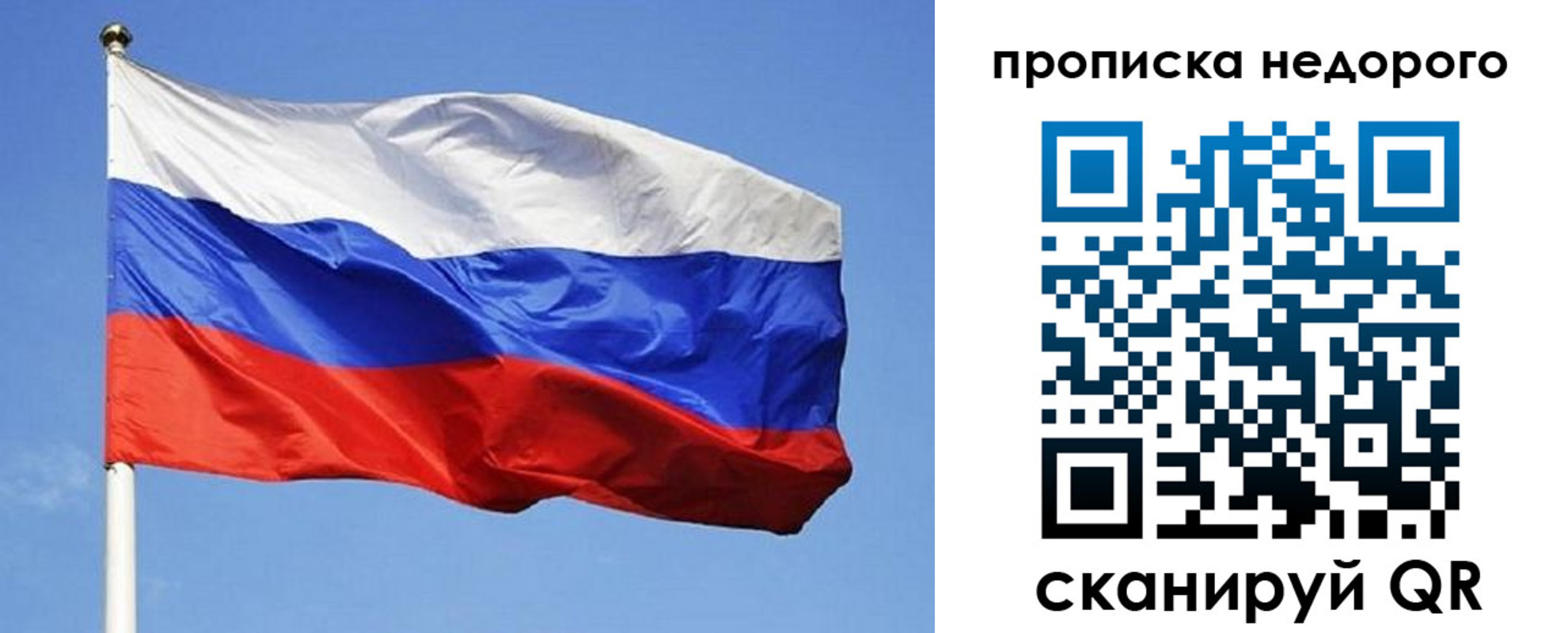 прописка для школы в Лесном